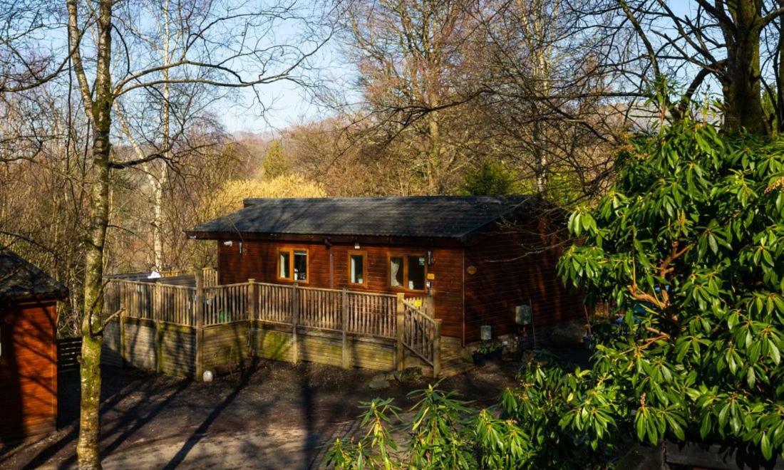 Owls House, White Cross Bay, Ambleside, 温德米尔 外观 照片